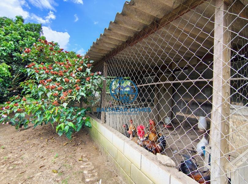 Fazenda à venda com 4 quartos, 10000m² - Foto 25