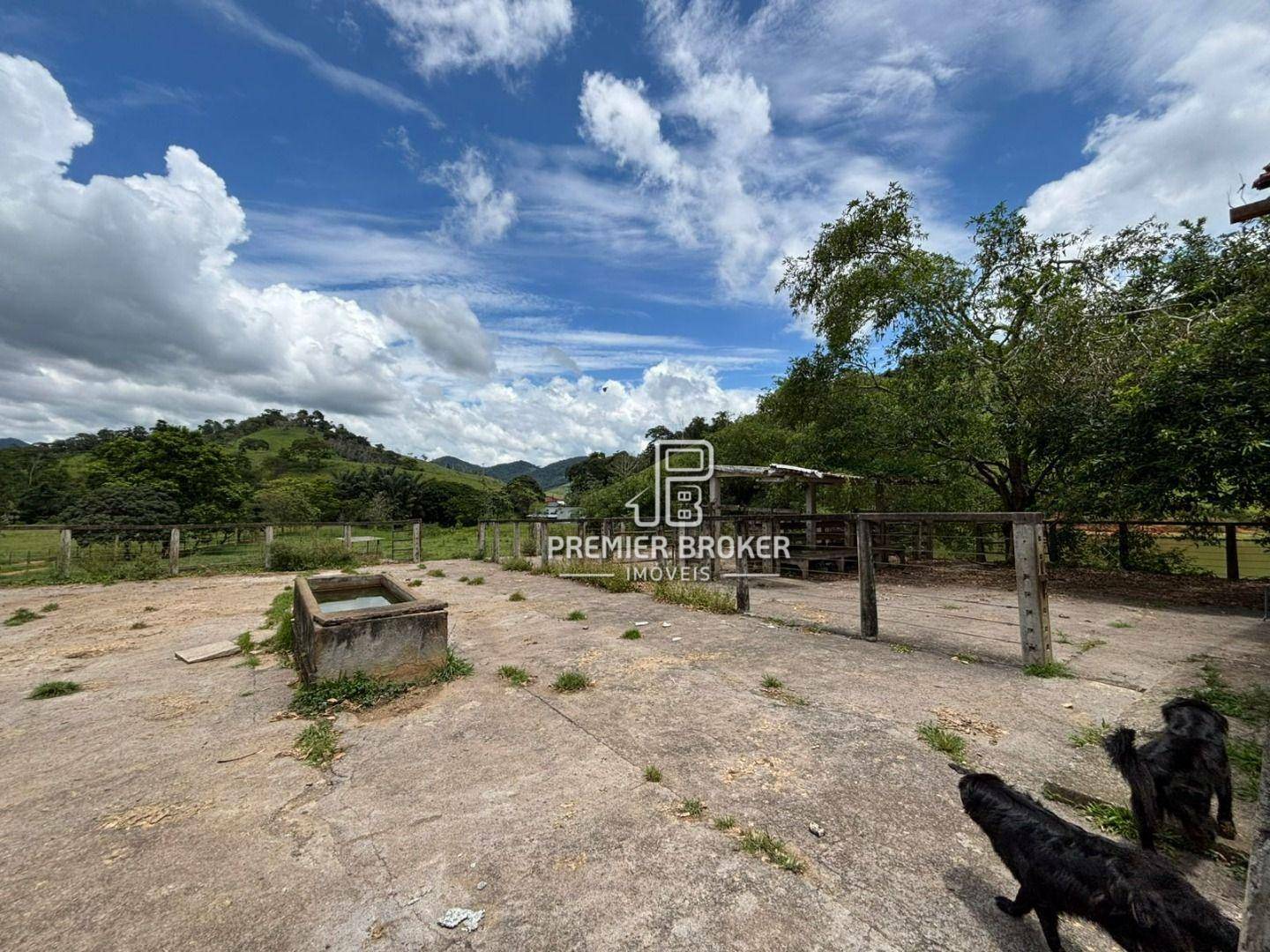 Fazenda à venda com 3 quartos, 250m² - Foto 9