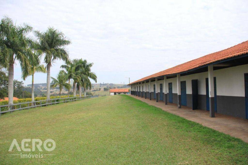 Fazenda à venda com 3 quartos, 400m² - Foto 28