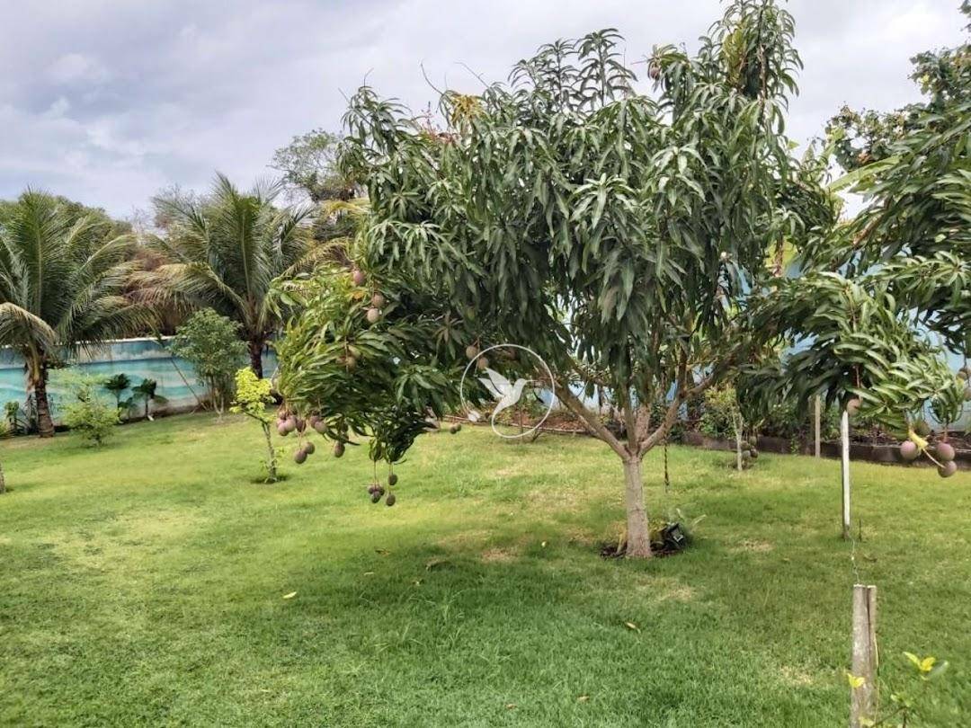 Casa para lancamento com 3 quartos, 260m² - Foto 40