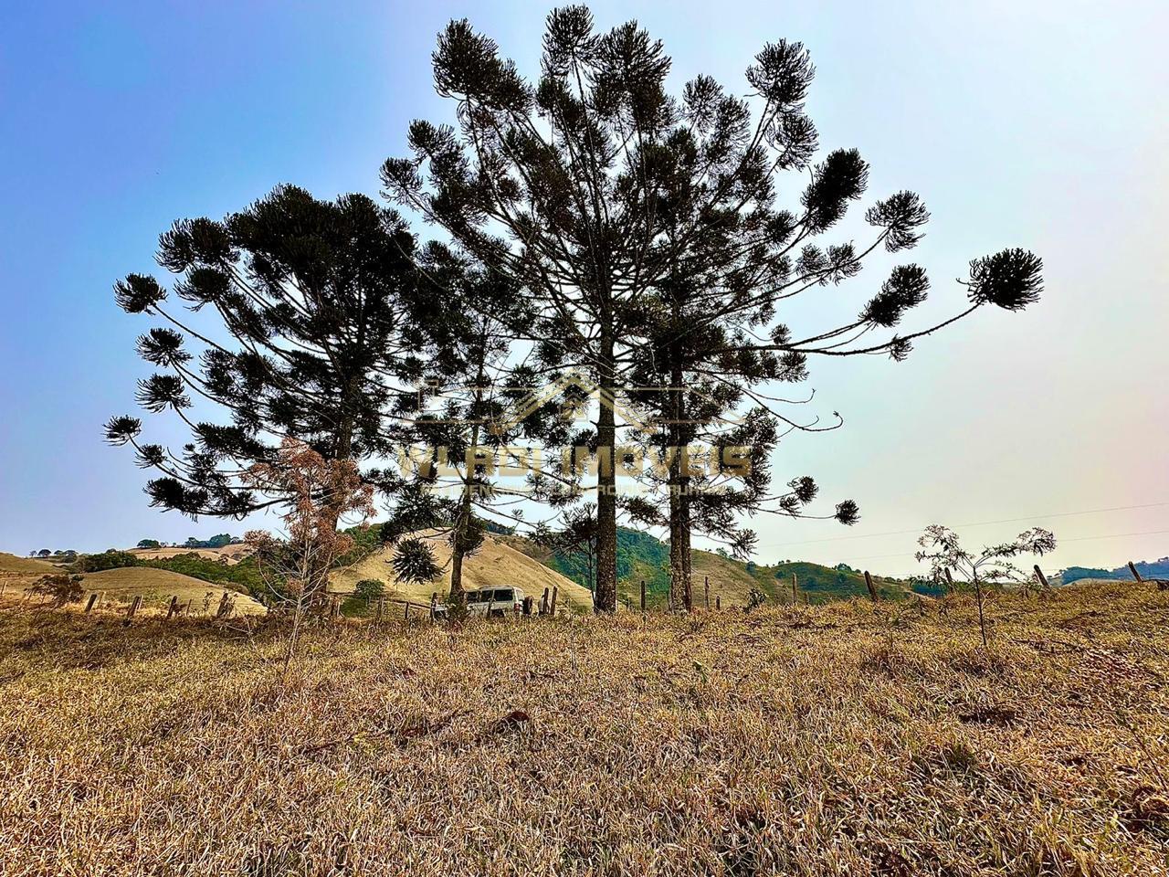 Terreno à venda, 20000m² - Foto 4