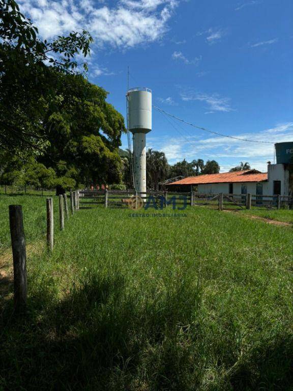 Fazenda à venda com 6 quartos, 500m² - Foto 21