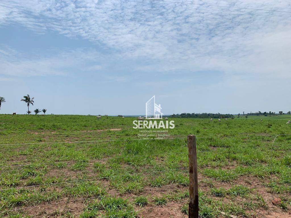 Fazenda-Sítio-Chácara, 257 hectares - Foto 3