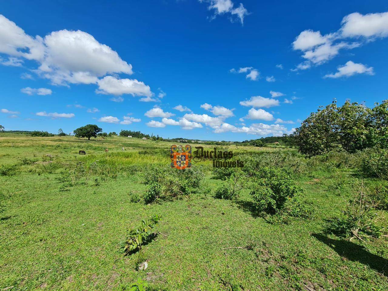 Fazenda à venda, 1258400M2 - Foto 48