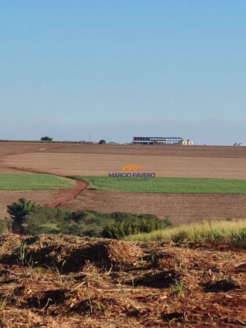 Fazenda, 155 hectares - Foto 5