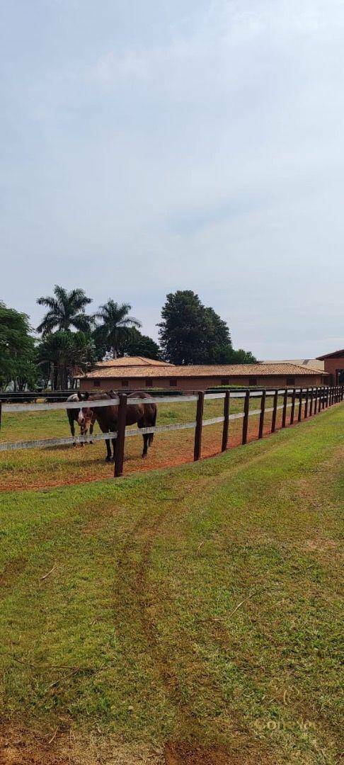 Fazenda-Sítio-Chácara, 136 hectares - Foto 19