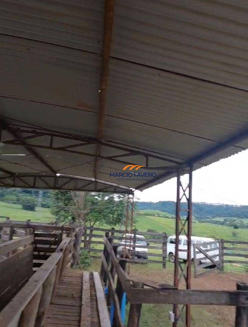 Fazenda, 307 hectares - Foto 7