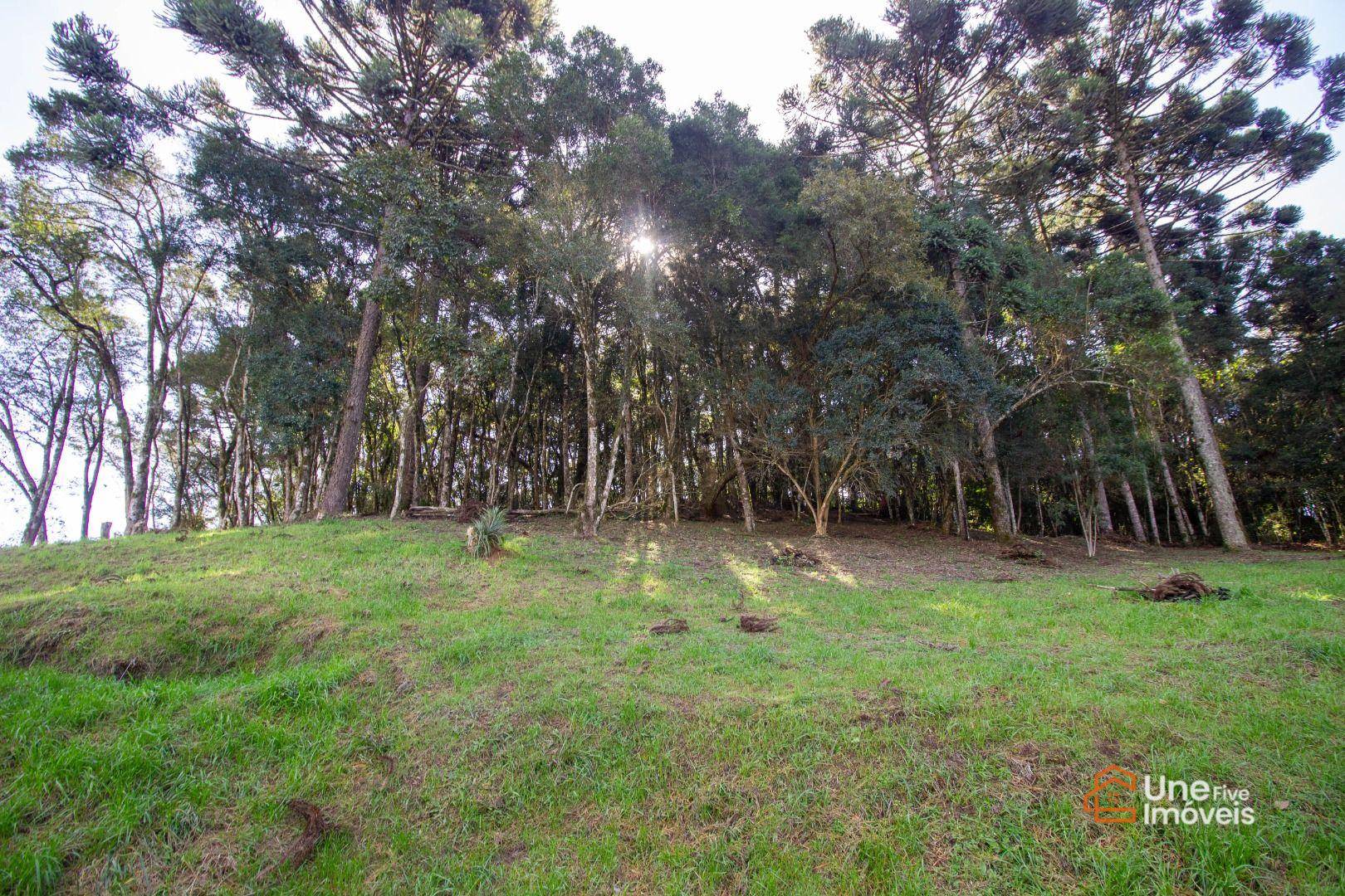 Terreno, 3799 m² - Foto 7