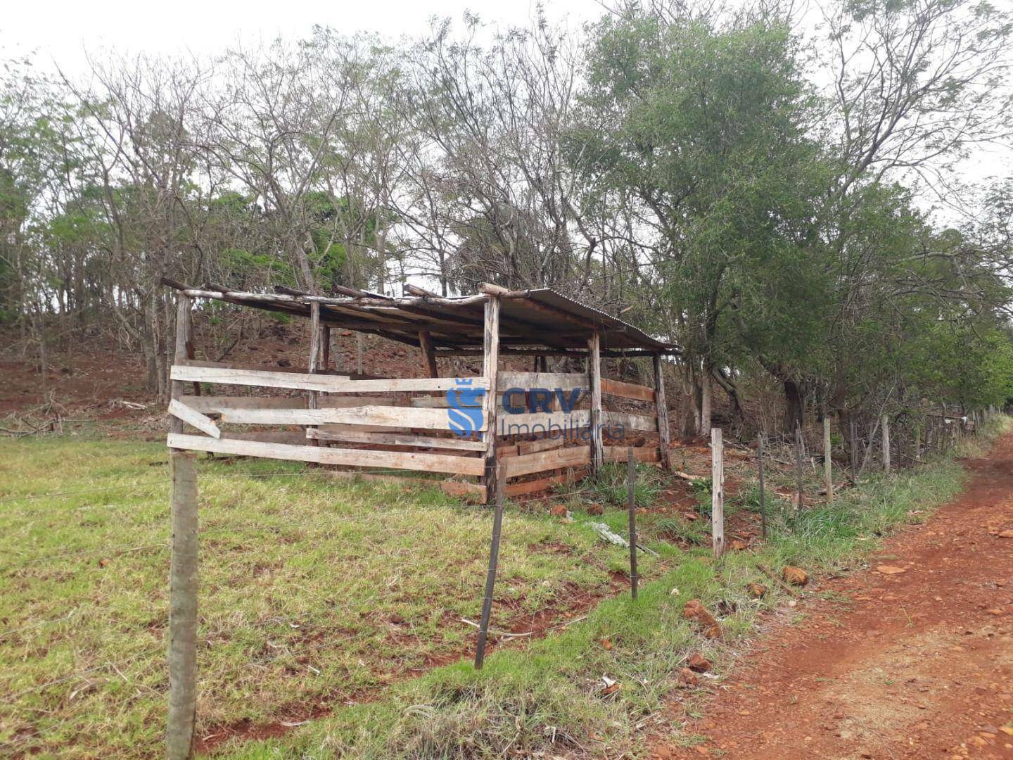 Chácara à venda com 3 quartos, 72600M2 - Foto 8