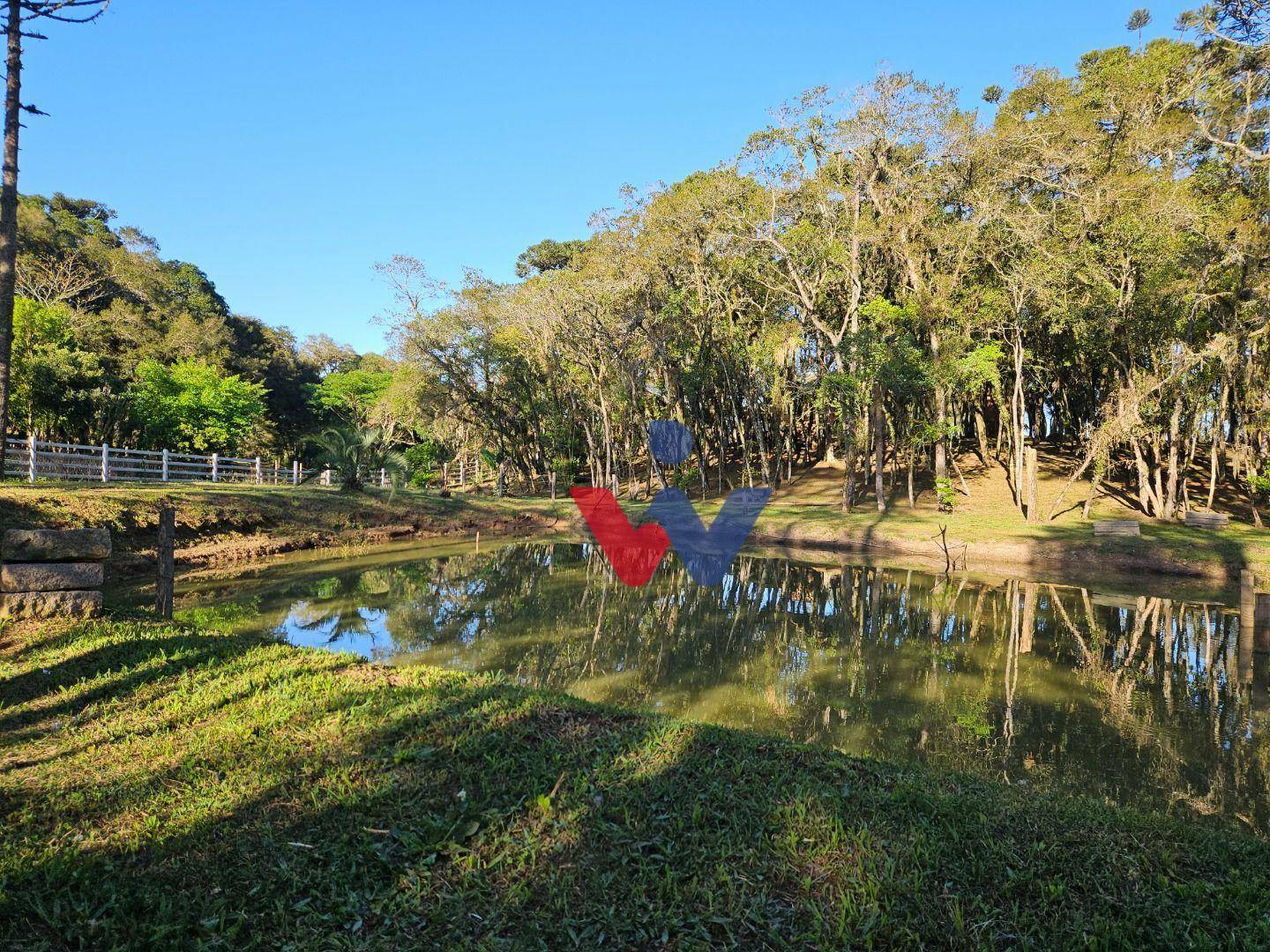 Chácara à venda com 3 quartos, 600m² - Foto 46