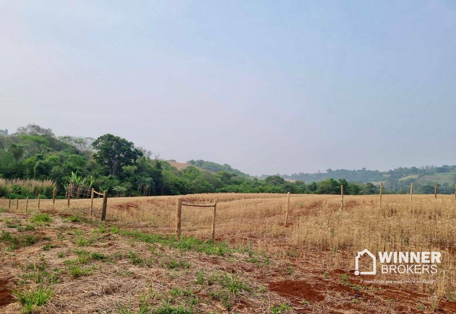 Terreno, 4500 m² - Foto 4