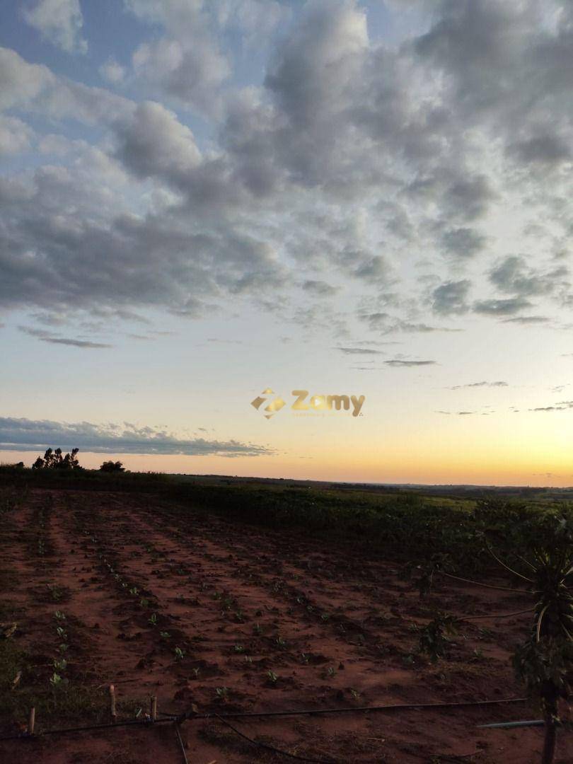 Chácara à venda com 2 quartos, 30000M2 - Foto 15