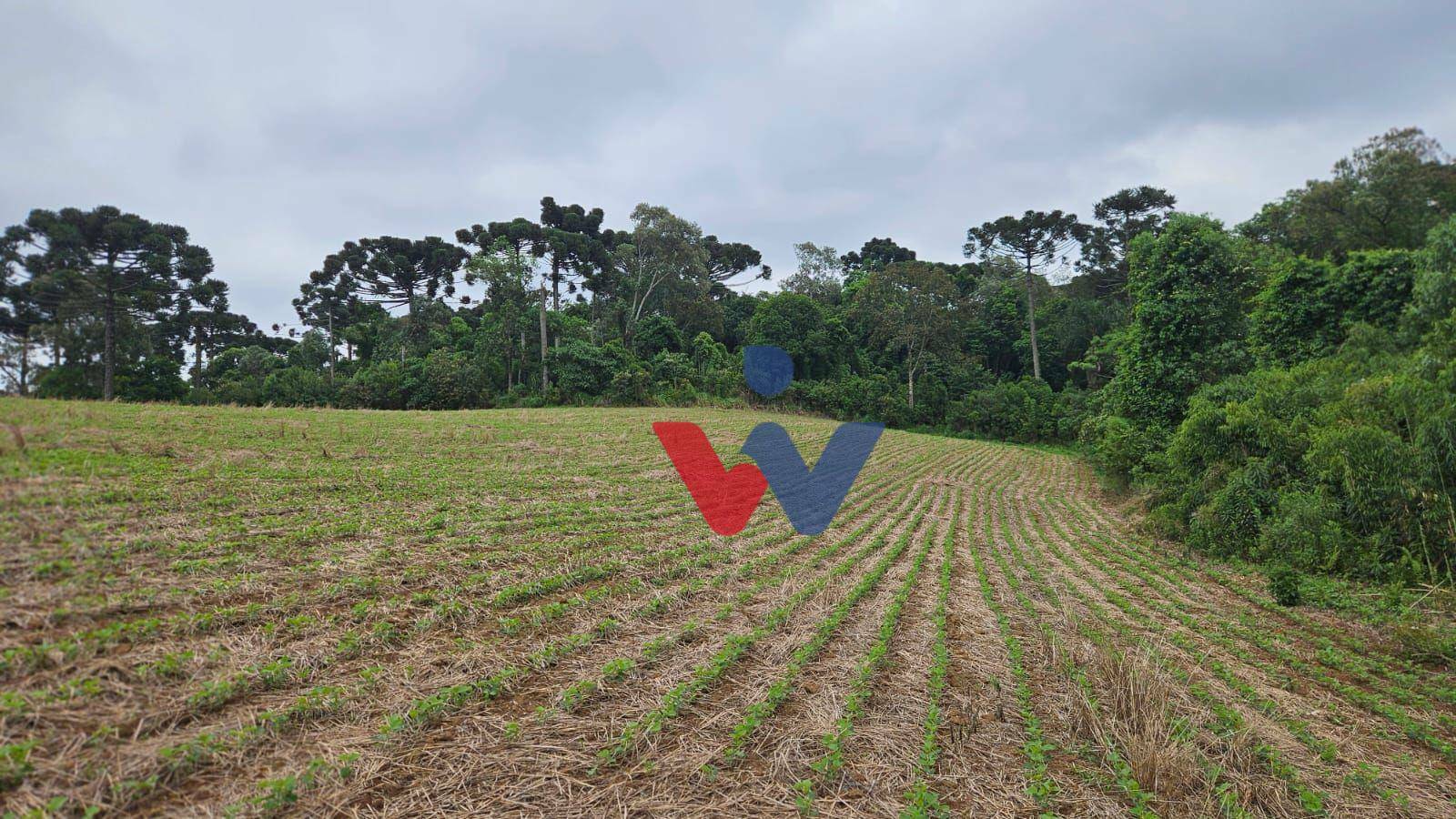 Fazenda à venda com 3 quartos, 1694000M2 - Foto 27