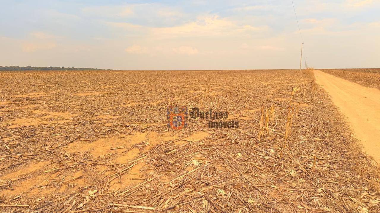 Fazenda, 7236 hectares - Foto 7