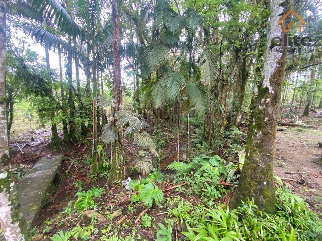 Fazenda à venda, 4822600M2 - Foto 9