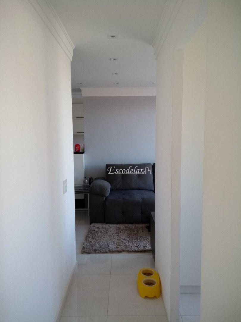 Apartamento à venda com 3 quartos, 65m² - Foto 10