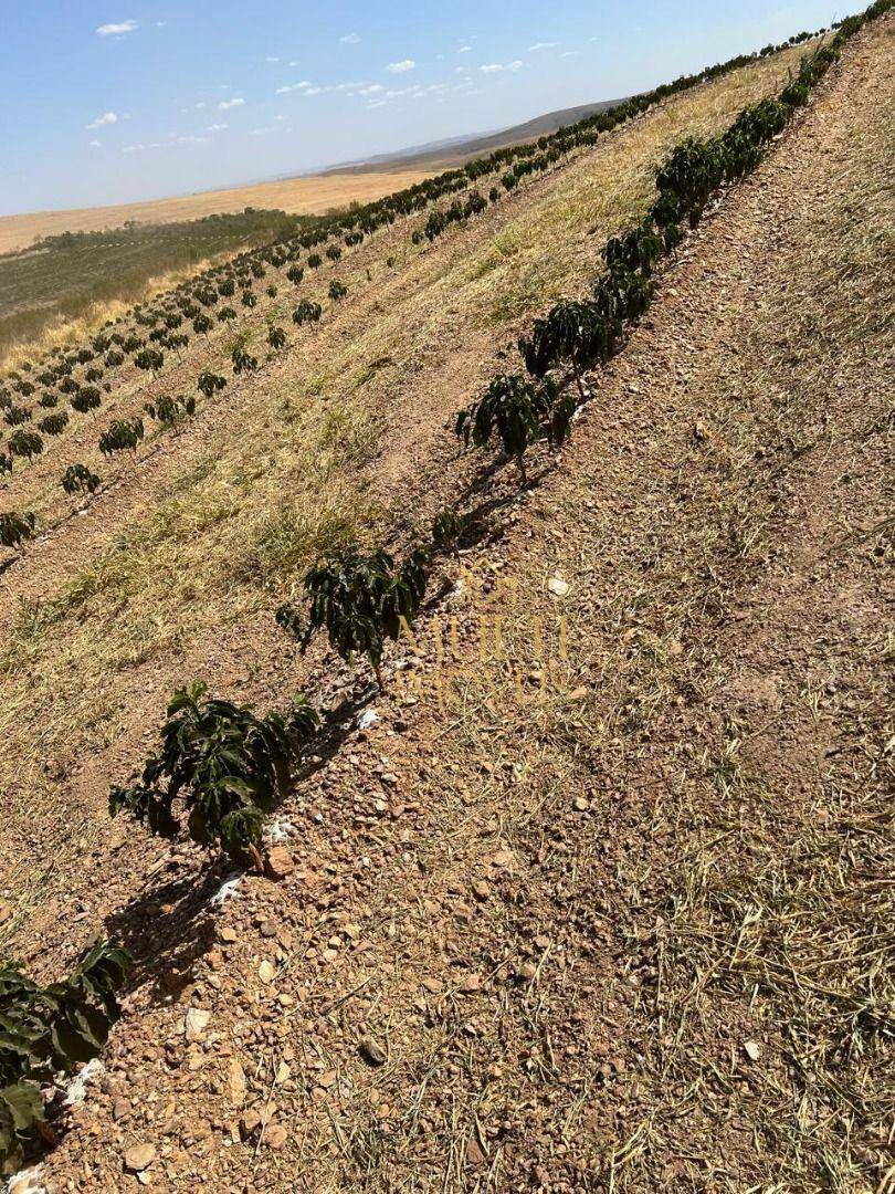 Fazenda à venda, 3200000M2 - Foto 14