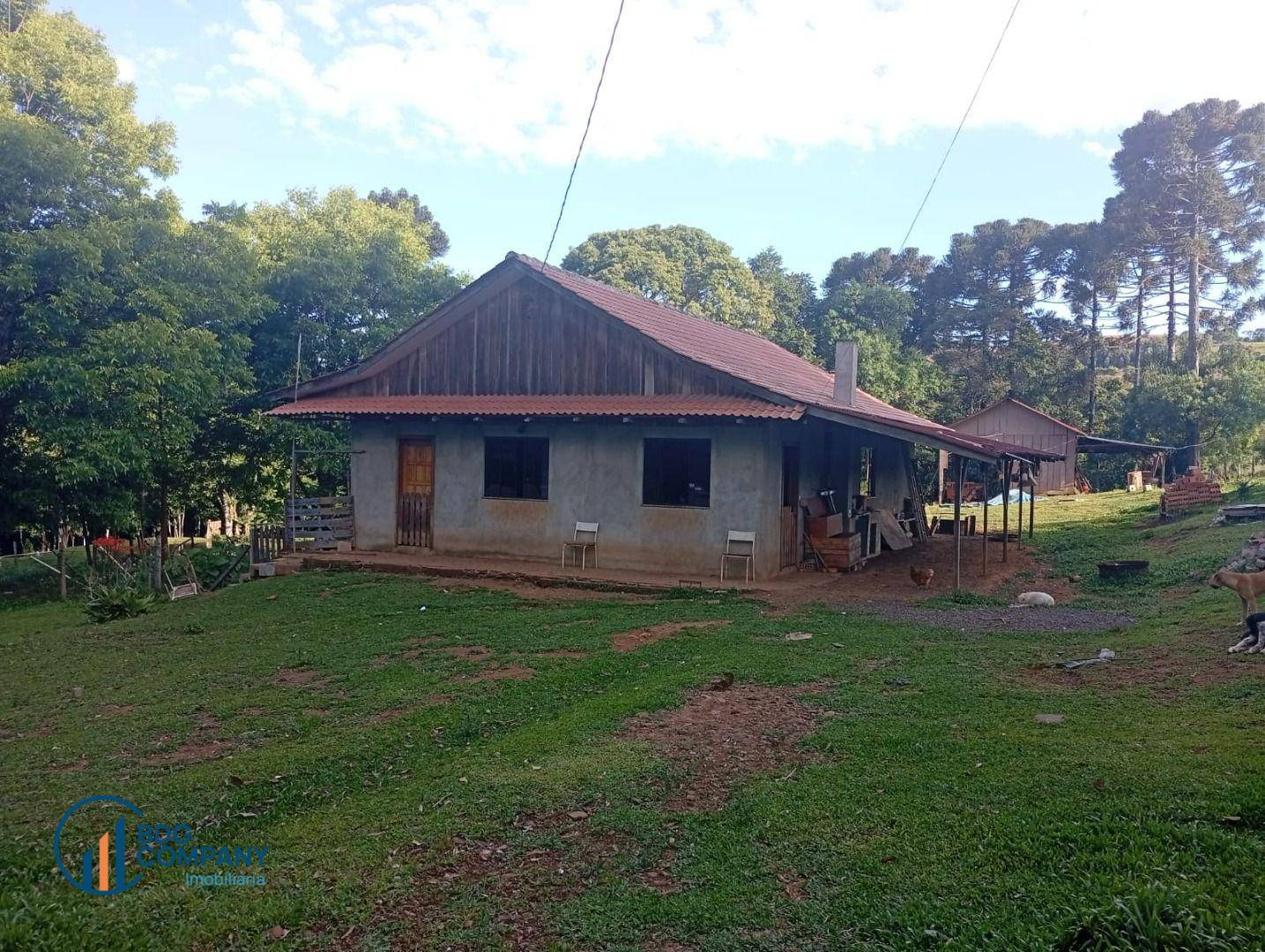 Chácara, 2 quartos, 5445 m² - Foto 21