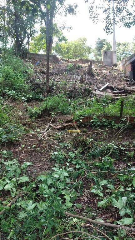 Terreno, 282 m² - Foto 5