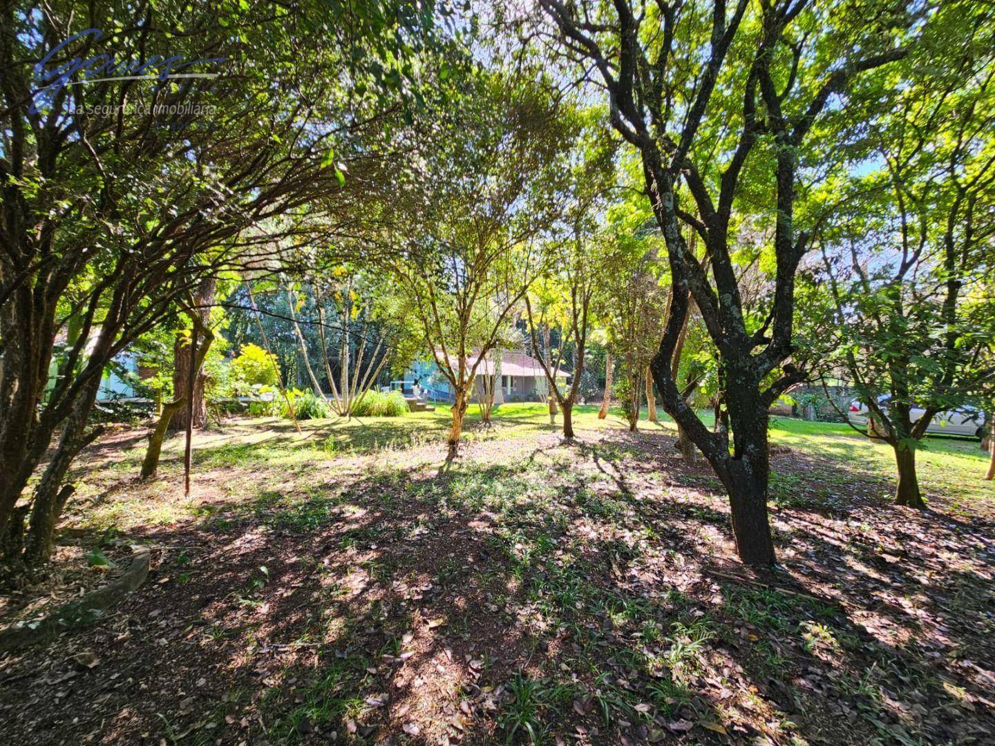 Fazenda à venda com 3 quartos, 1500M2 - Foto 10