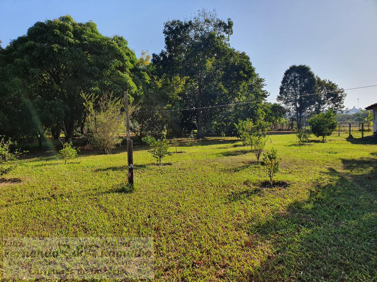 Fazenda à venda com 4 quartos, 5600m² - Foto 52