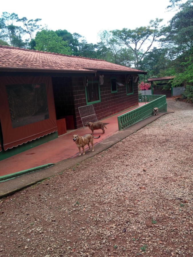 Terreno, 7 hectares - Foto 7