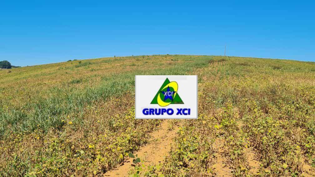 Fazenda à venda, 3800000M2 - Foto 12