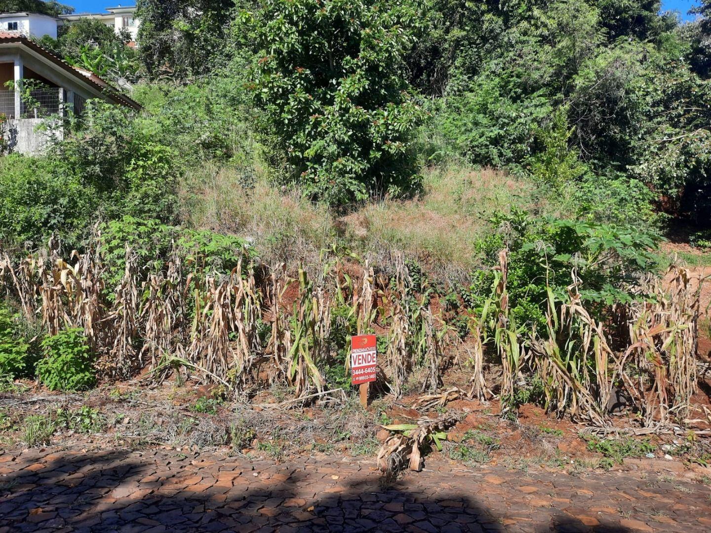 Terreno à venda, 450m² - Foto 8