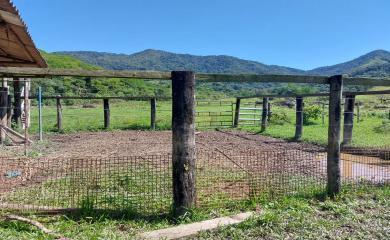 Fazenda à venda com 3 quartos, 232m² - Foto 6