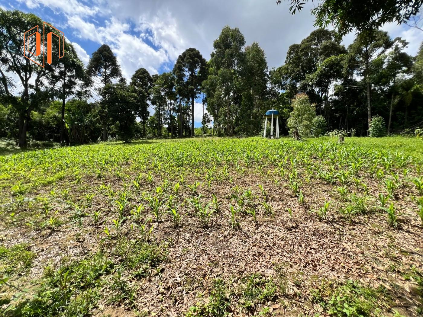 Chácara à venda, 39000m² - Foto 9