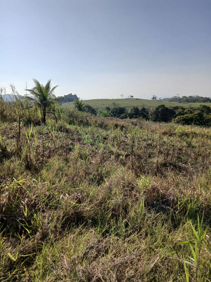 Fazenda à venda com 1 quarto, 96000m² - Foto 4