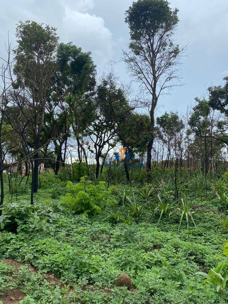 Terreno à venda, 412M2 - Foto 6