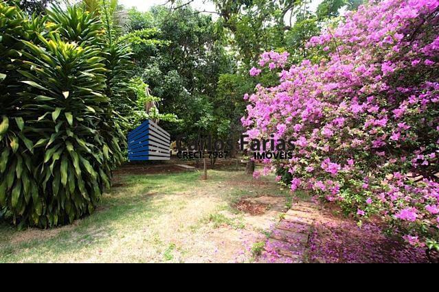 Terreno à venda com 3 quartos, 300m² - Foto 7
