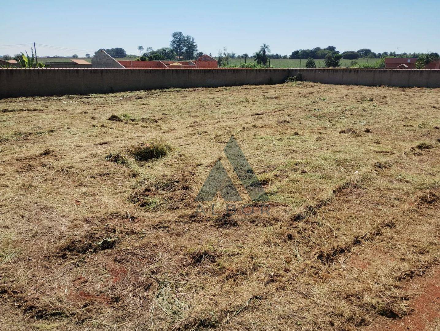 Terreno, 1100 m² - Foto 6