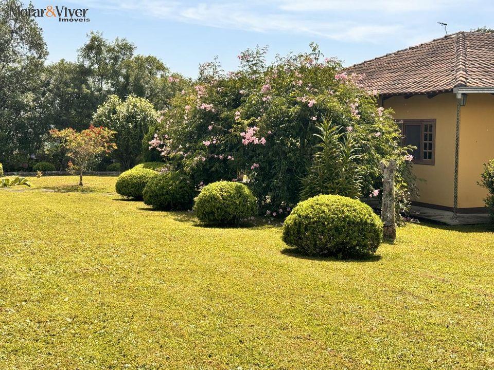 Fazenda à venda com 4 quartos, 7700m² - Foto 12