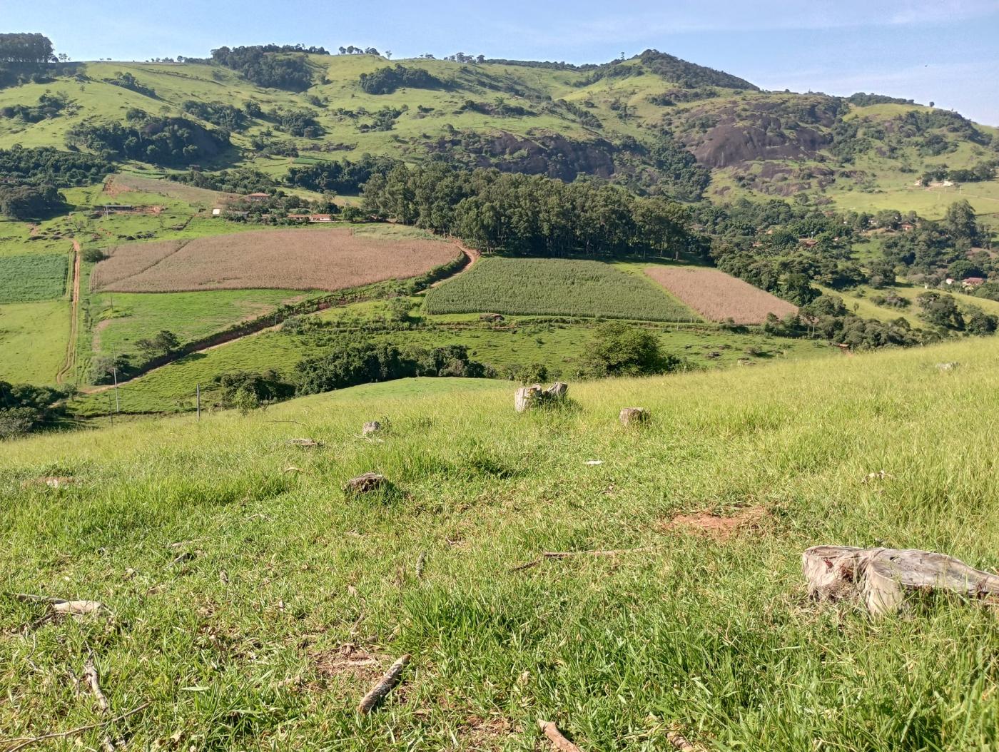 Terreno à venda, 72600m² - Foto 6