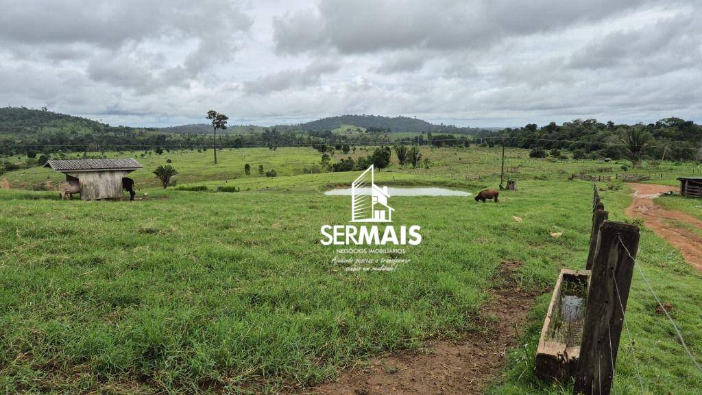 Fazenda, 280 hectares - Foto 1