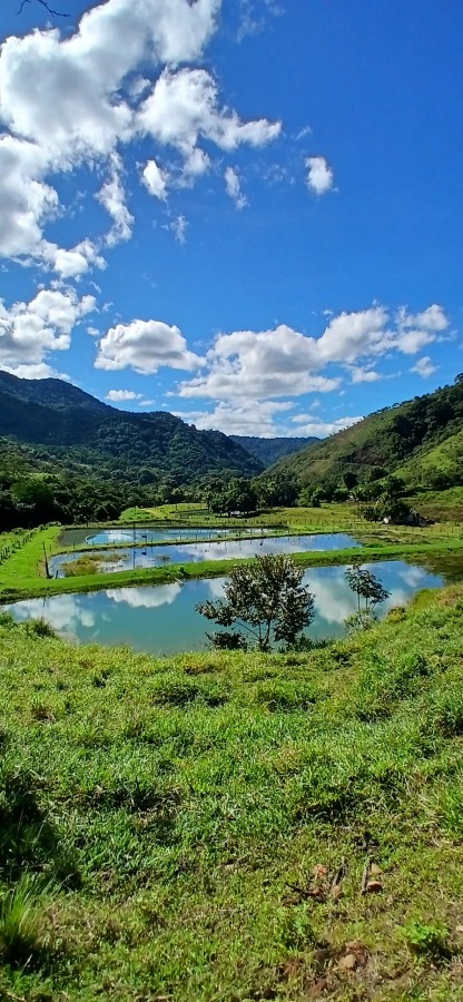 Fazenda à venda com 4 quartos, 257m² - Foto 9
