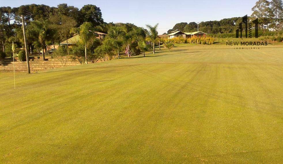 Chácara à venda, 5000M2 - Foto 3