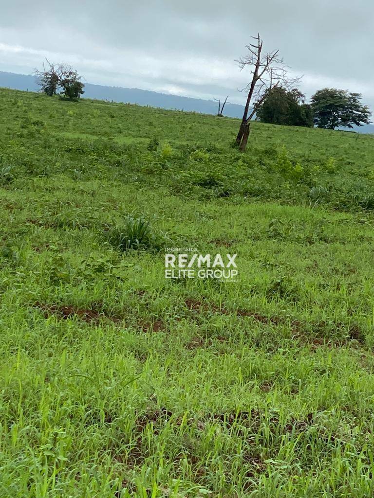 Fazenda à venda com 1 quarto, 1m² - Foto 1