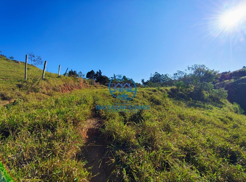 Terreno à venda, 10000m² - Foto 4