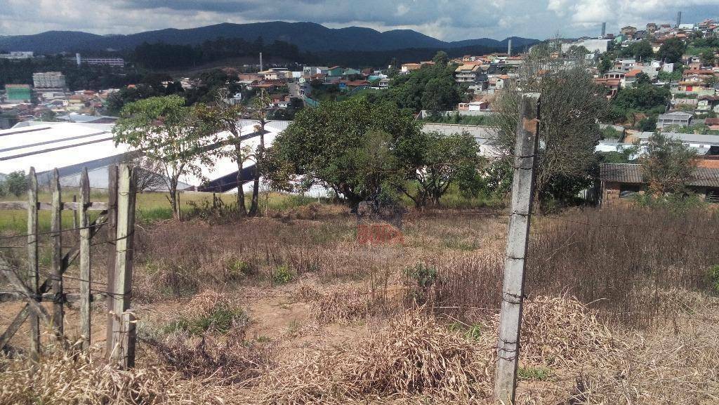 Terreno à venda, 1264M2 - Foto 4