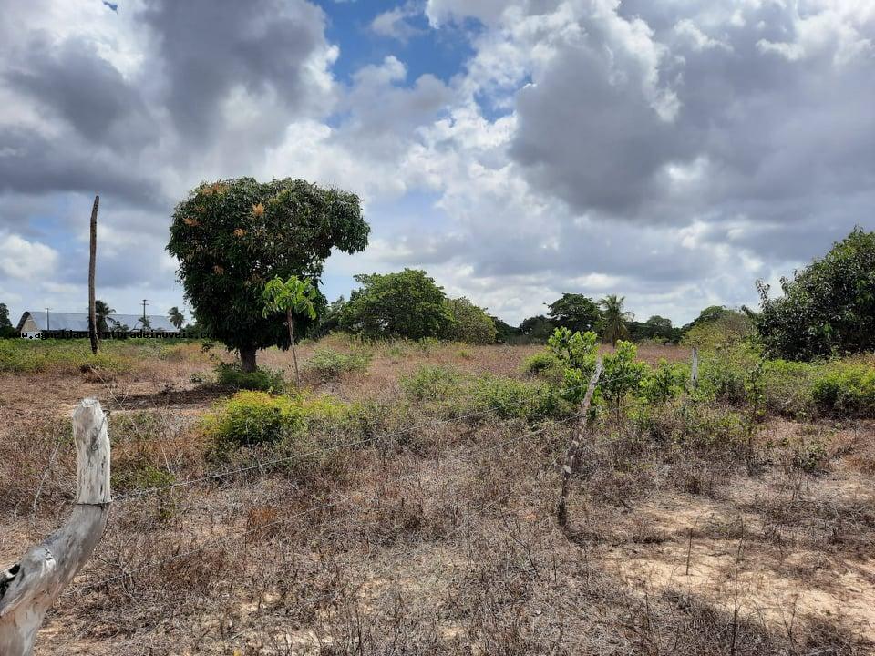 Fazenda à venda com 2 quartos, 14m² - Foto 22