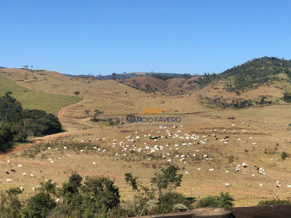 Fazenda-Sítio-Chácara, 823 hectares - Foto 1