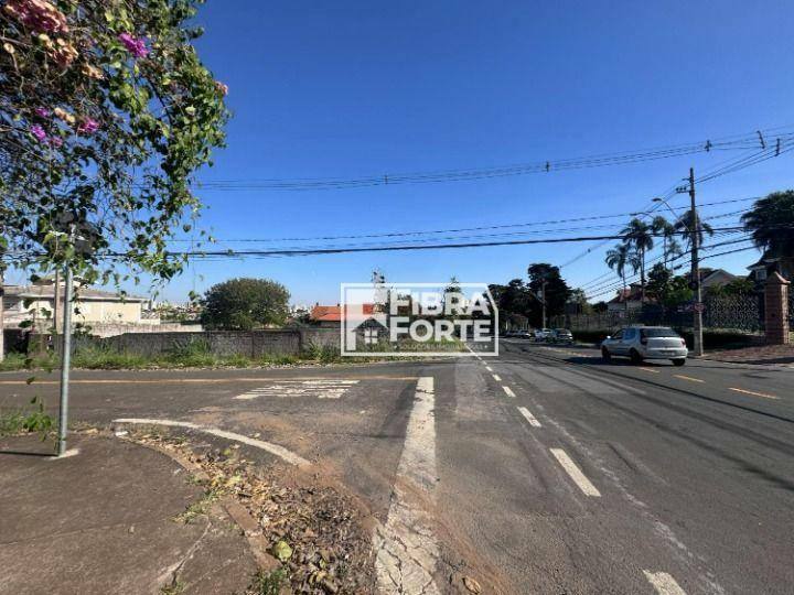 Terreno para alugar, 1933M2 - Foto 7