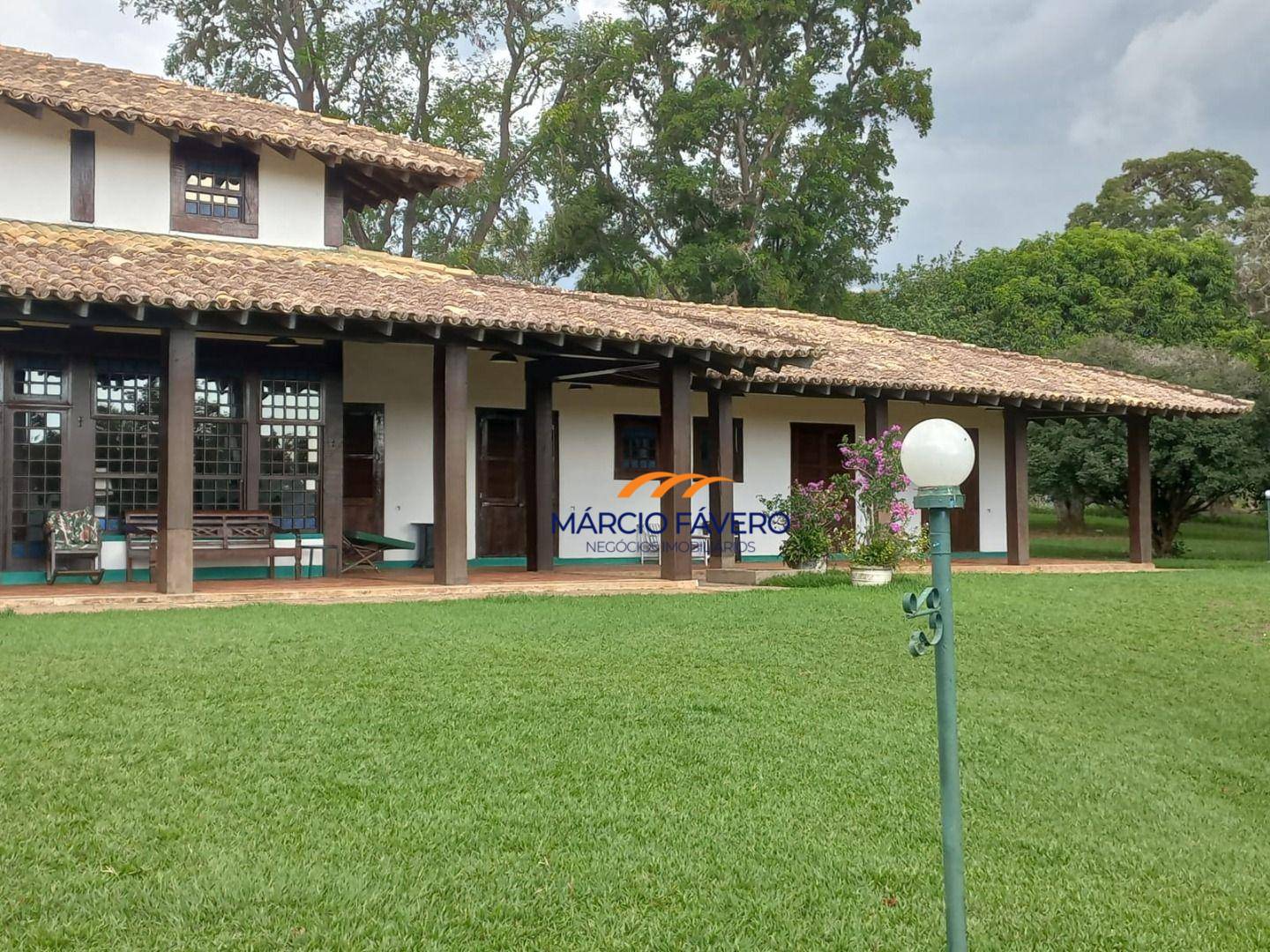 Fazenda, 358 hectares - Foto 5