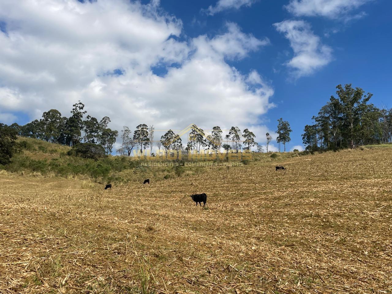 Fazenda à venda, 220m² - Foto 27