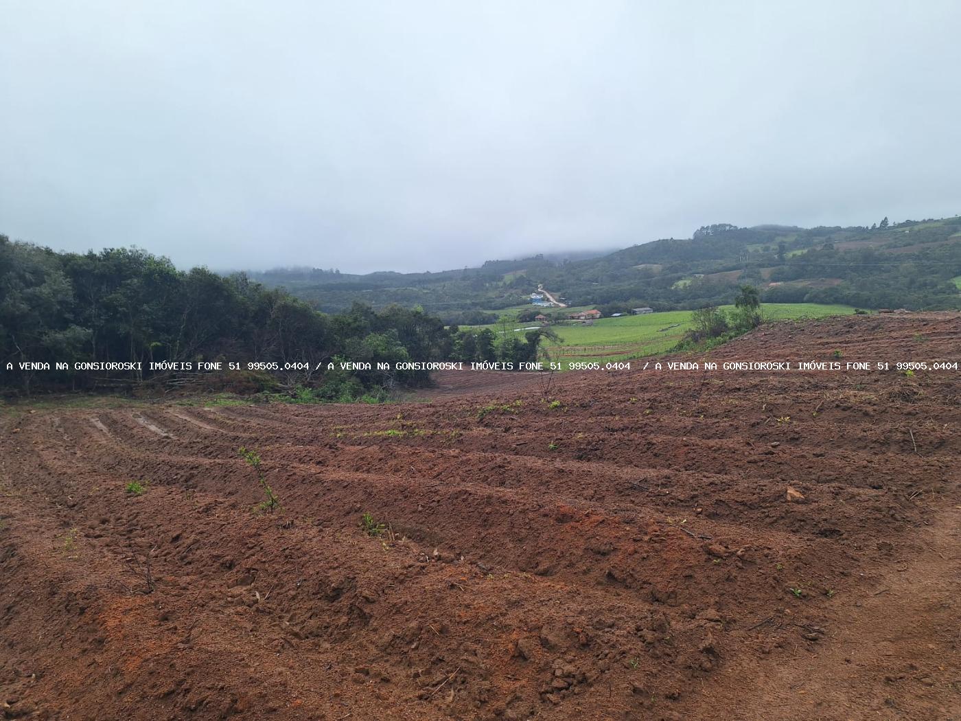 Sítio à venda com 2 quartos, 141000m² - Foto 30