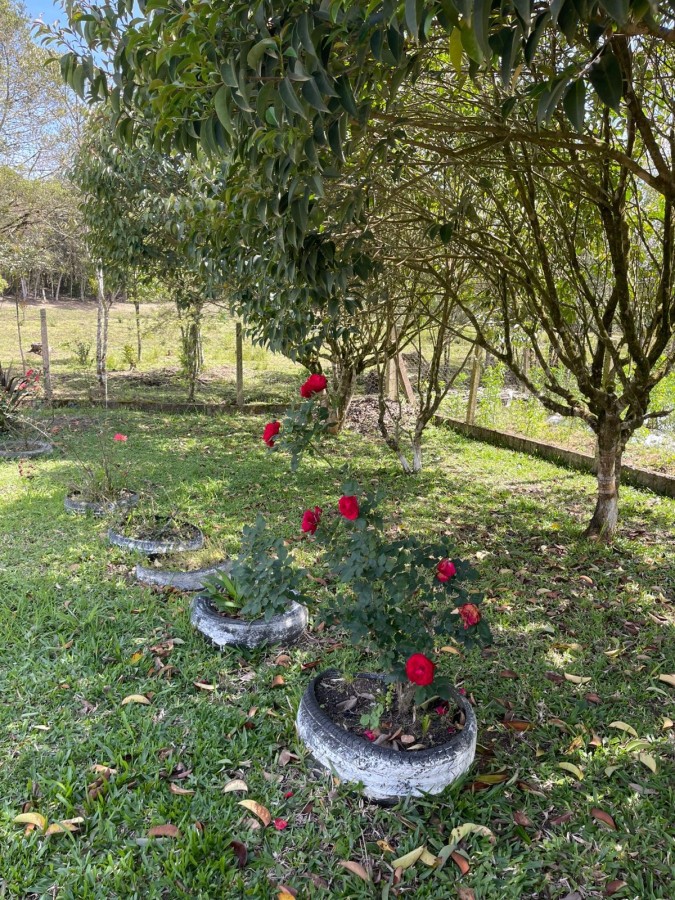 Chácara, 10000 m² - Foto 29