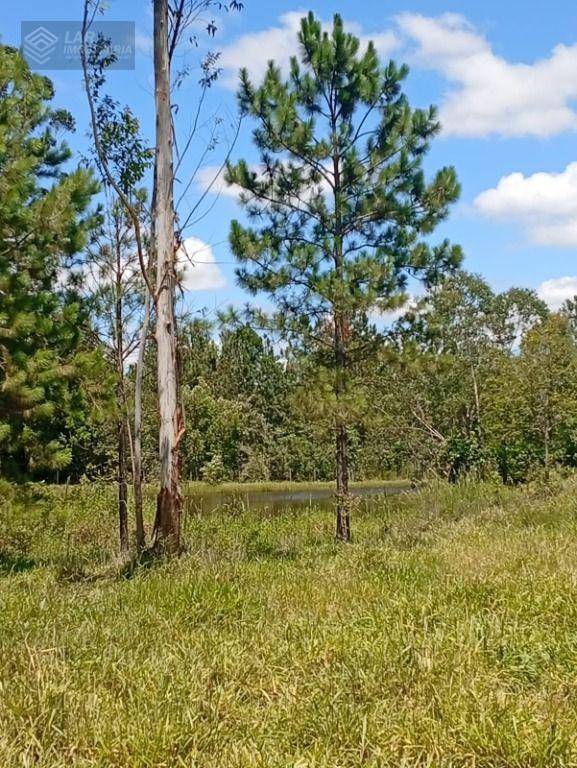 Terreno, 4 hectares - Foto 16